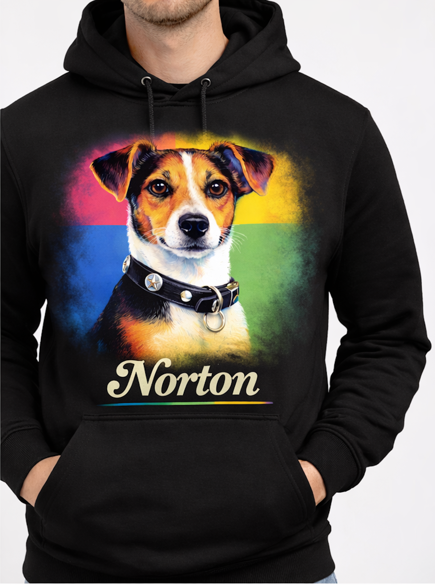 Norton Black Mens Hoodie